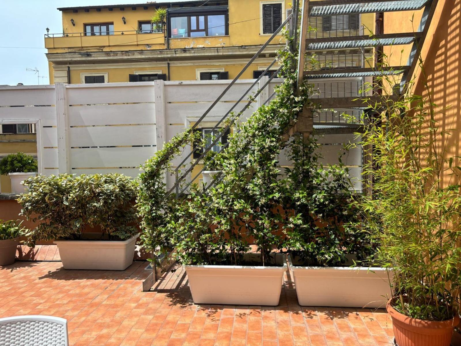 רומא Rooftop St. Peter מראה חיצוני תמונה